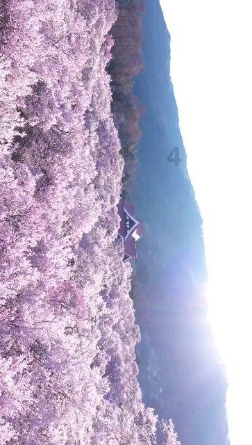 燃烧吧大脑免广告最新版