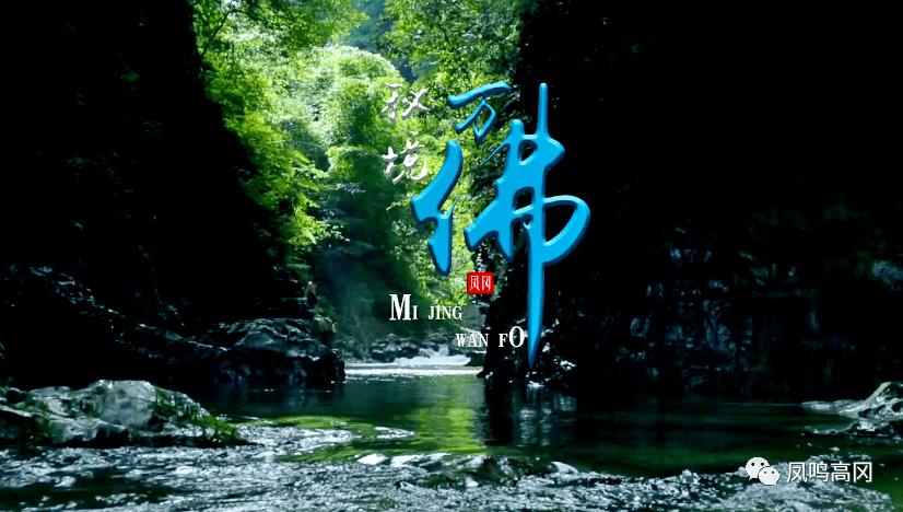 大花园植物逃生