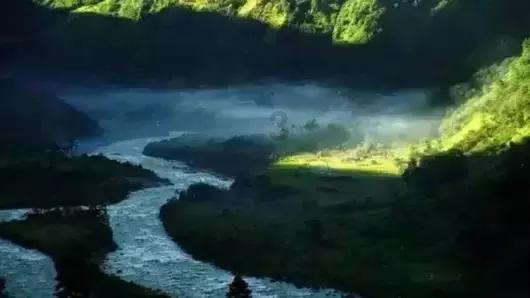 虫虫助手下载