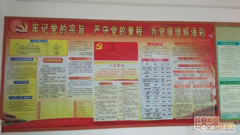 国际篮联公布巴黎奥运会三人篮球资格赛主办城市