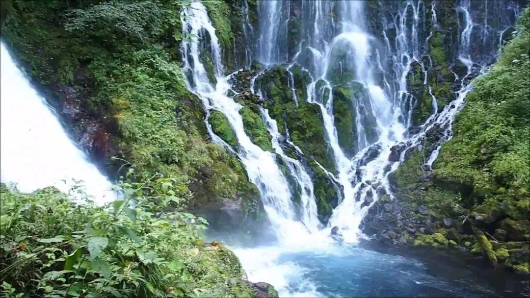 逃离废弃高校