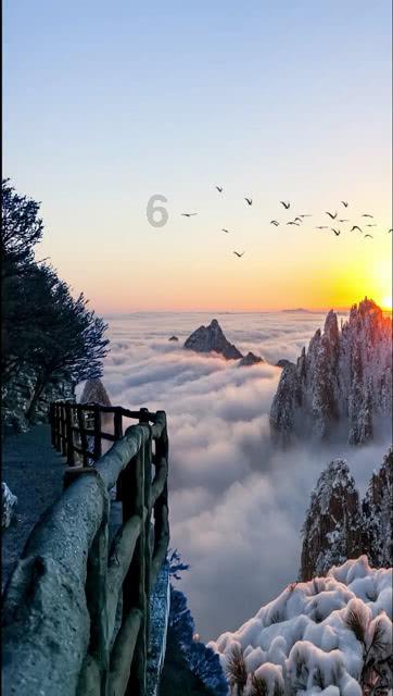 晶体管